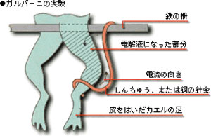 fig1